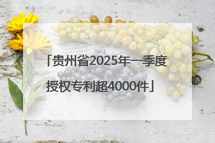 贵州省2025年一季度授权专利超4000件