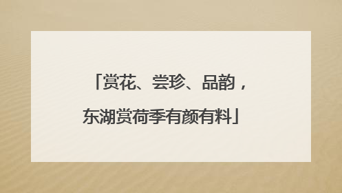 赏花、尝珍、品韵，东湖赏荷季有颜有料