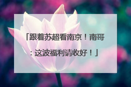 跟着苏超看南京！南哥：这波福利请收好！