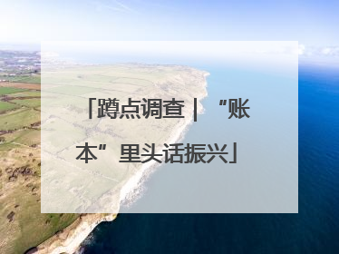蹲点调查｜“账本”里头话振兴