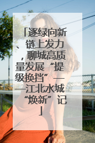 逐绿向新、链上发力，聊城高质量发展“提级换挡”——江北水城“焕新”记