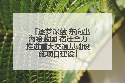 逐梦深蓝 东向出海绘蓝图 宿迁全力推进重大交通基础设施项目建设