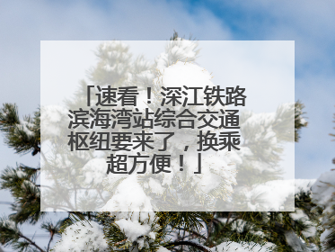 速看！深江铁路滨海湾站综合交通枢纽要来了，换乘超方便！