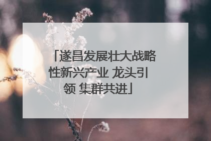 遂昌发展壮大战略性新兴产业 龙头引领 集群共进