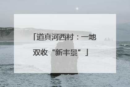 道真河西村：一地双收“新丰景”