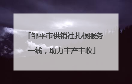 邹平市供销社扎根服务一线，助力丰产丰收