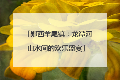 郧西羊尾镇：龙潭河山水间的欢乐盛宴