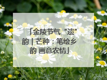 金陵节气“遗”韵｜芒种：笔绘乡韵 画意农情