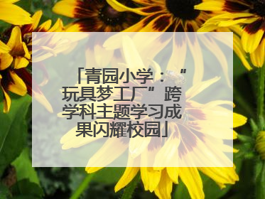 青园小学：“玩具梦工厂”跨学科主题学习成果闪耀校园