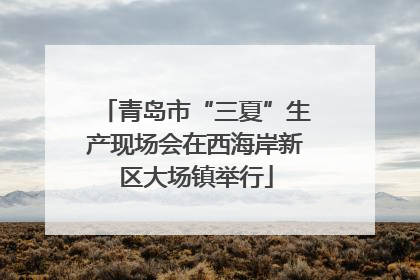 青岛市“三夏”生产现场会在西海岸新区大场镇举行