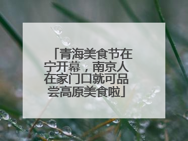 青海美食节在宁开幕，南京人在家门口就可品尝高原美食啦