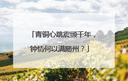 青铜心跳震颤千年，钟情何以满随州？