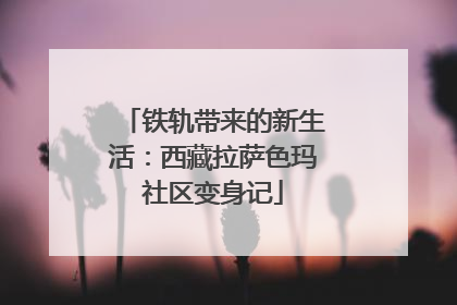 铁轨带来的新生活：西藏拉萨色玛社区变身记