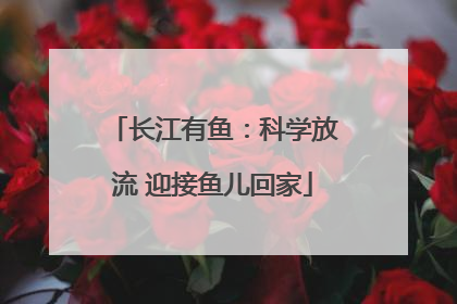 长江有鱼：科学放流 迎接鱼儿回家