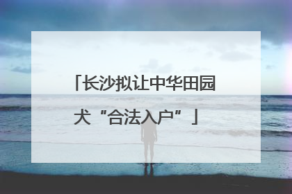 长沙拟让中华田园犬“合法入户”