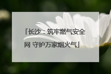 长沙：筑牢燃气安全网 守护万家烟火气