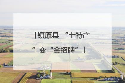 镇原县 “土特产”变“金招牌”