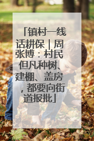 镇村一线话耕保｜周张博：村民但凡种树、建棚、盖房，都要向街道报批