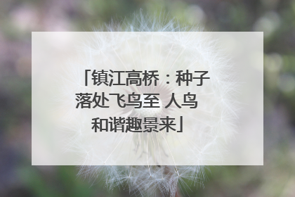 镇江高桥：种子落处飞鸟至 人鸟和谐趣景来