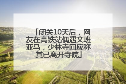 闭关10天后，网友在高铁站偶遇文班亚马，少林寺回应称其已离开寺院