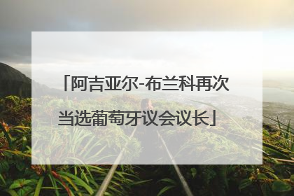 阿吉亚尔-布兰科再次当选葡萄牙议会议长
