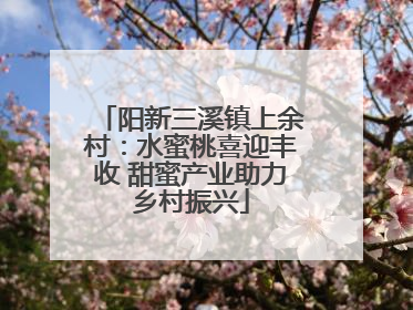 阳新三溪镇上余村：水蜜桃喜迎丰收 甜蜜产业助力乡村振兴