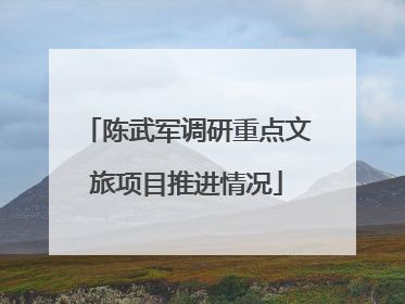陈武军调研重点文旅项目推进情况