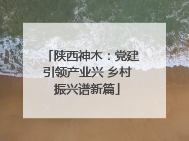 陕西神木：党建引领产业兴 乡村振兴谱新篇