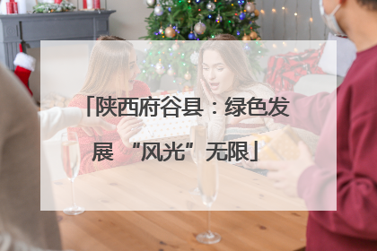 陕西府谷县：绿色发展 “风光”无限