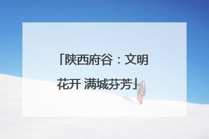 陕西府谷：文明花开 满城芬芳