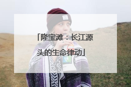隆宝滩：长江源头的生命律动