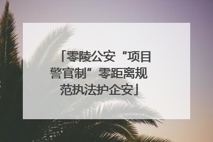 零陵公安“项目警官制”零距离规范执法护企安