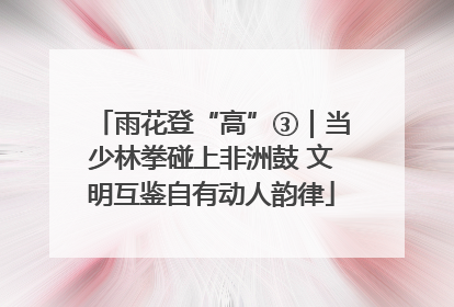 雨花登“高”③｜当少林拳碰上非洲鼓 文明互鉴自有动人韵律