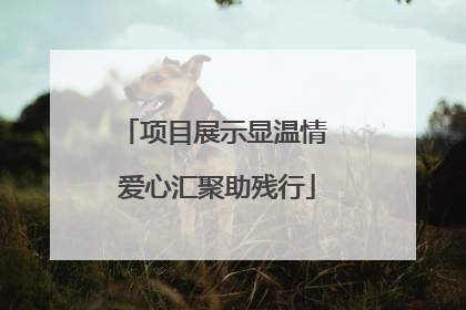 项目展示显温情 爱心汇聚助残行