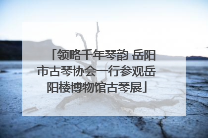 领略千年琴韵 岳阳市古琴协会一行参观岳阳楼博物馆古琴展