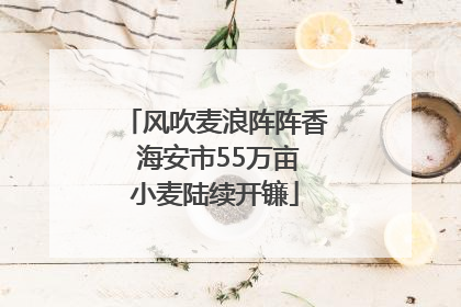 风吹麦浪阵阵香 海安市55万亩小麦陆续开镰