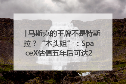 马斯克的王牌不是特斯拉？“木头姐”：SpaceX估值五年后可达2.5万亿美元！