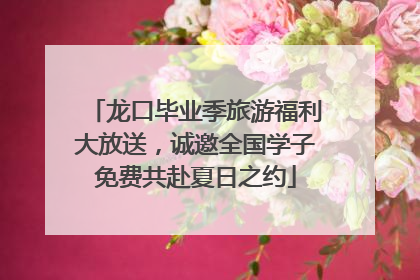 龙口毕业季旅游福利大放送，诚邀全国学子免费共赴夏日之约
