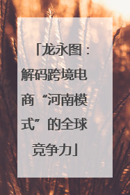 龙永图：解码跨境电商“河南模式”的全球竞争力