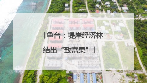 鱼台：堤岸经济林结出“致富果”
