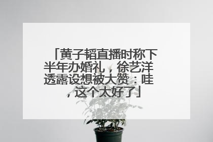 黄子韬直播时称下半年办婚礼，徐艺洋透露设想被大赞：哇，这个太好了