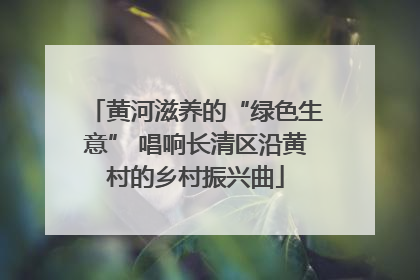 黄河滋养的“绿色生意” 唱响长清区沿黄村的乡村振兴曲
