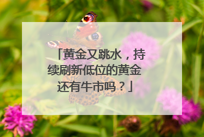 黄金又跳水，持续刷新低位的黄金还有牛市吗？