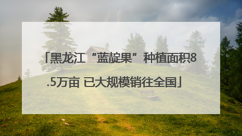 黑龙江“蓝靛果”种植面积8.5万亩 已大规模销往全国