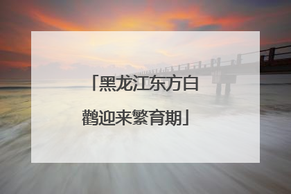 黑龙江东方白鹳迎来繁育期