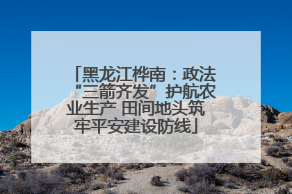 黑龙江桦南：政法“三箭齐发”护航农业生产 田间地头筑牢平安建设防线