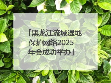 黑龙江流域湿地保护网络2025年会成功举办