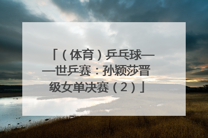 （体育）乒乓球——世乒赛：孙颖莎晋级女单决赛（2）