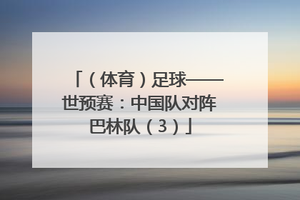 （体育）足球——世预赛：中国队对阵巴林队（3）