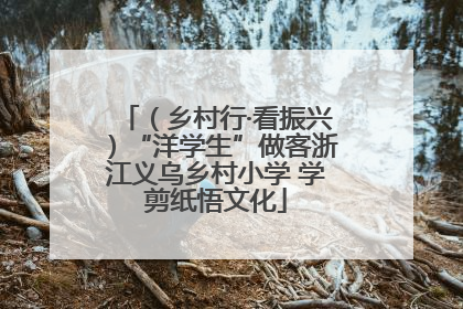 （乡村行·看振兴）“洋学生”做客浙江义乌乡村小学 学剪纸悟文化
